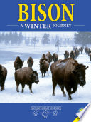 Bison: A Winter Journey cover
