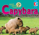 Capybara cover