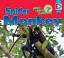 Spider Monkey cover