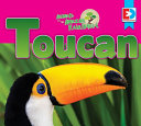 Toucan cover