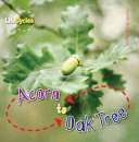 Acorn to Oak Tree cover