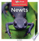 Newts cover