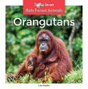 Orangutans cover