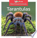 Tarantulas cover