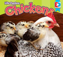 Chickens cover