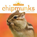 Chipmunks cover