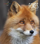 Foxes cover