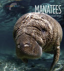 Manatees cover