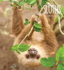 Sloths cover