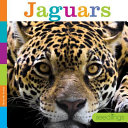 Jaguars cover
