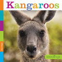 Kangaroos (Seedlings) cover