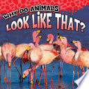 Why Do Animals Look Like That? cover
