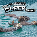 Why Do Animals Sleep There? cover