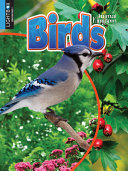 Birds (Lightbox) cover