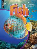 Fish (Lightbox) cover