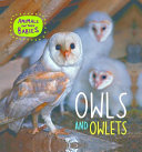 Owls and Owlets cover