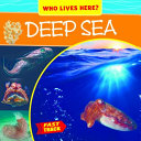 Deep Sea cover