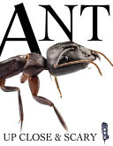 Ant cover