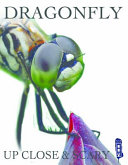 Dragonfly cover