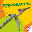 Pterodactyl cover