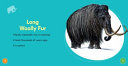 Woolly Mammoth cover