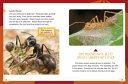 Exploding Ants and Other Amazing Defenses cover