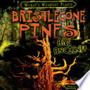 Bristlecone Pines Are Ancient! cover