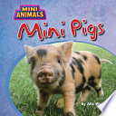 Mini Pigs cover