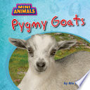 Pygmy Goats cover