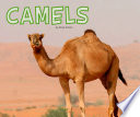 Camels cover