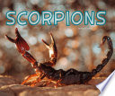 Scorpions cover
