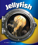 Jellyfish cover