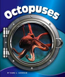 Octopuses cover