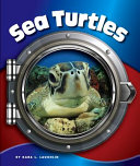 Sea Turtles cover