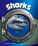 Sharks cover