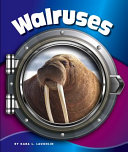 Walruses cover