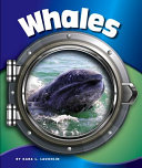 Whales cover
