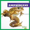 Amphibians cover