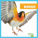 Birds cover