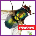 Insects cover
