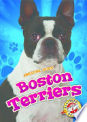 Boston Terriers cover