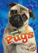 Pugs cover
