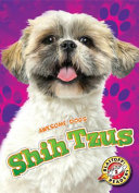 Shih Tzus cover
