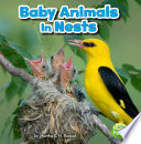 Baby Animals in Nests cover