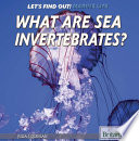 What Are Sea Invertebrates? cover