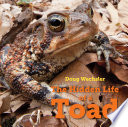 The Hidden Life of a Toad cover