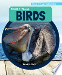 Really Strange Birds cover