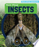 Really Strange Insects cover