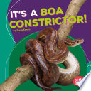 It's a Boa Constrictor! cover