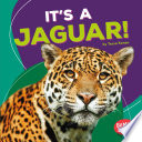 It's a Jaguar! cover
